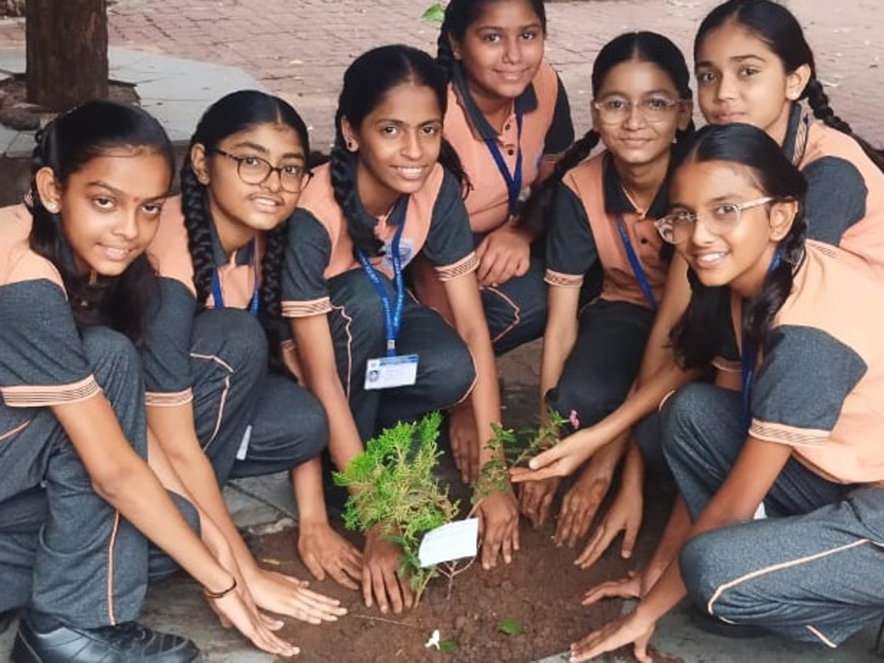 TREE PLANTATION(2025-26)